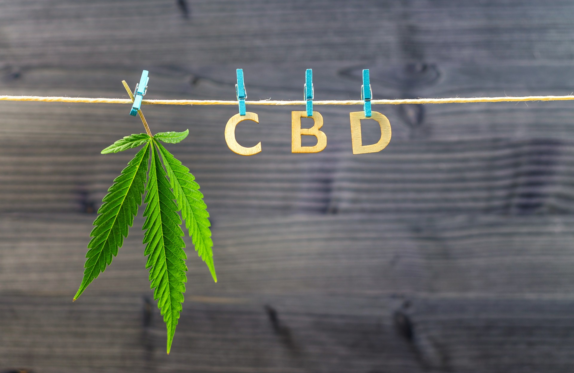 El Cannabidiol
